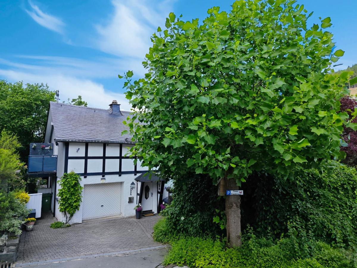 Ferienwohnung Platzhirsch Fuer 2 - 4 Pers. Winterberg Dış mekan fotoğraf